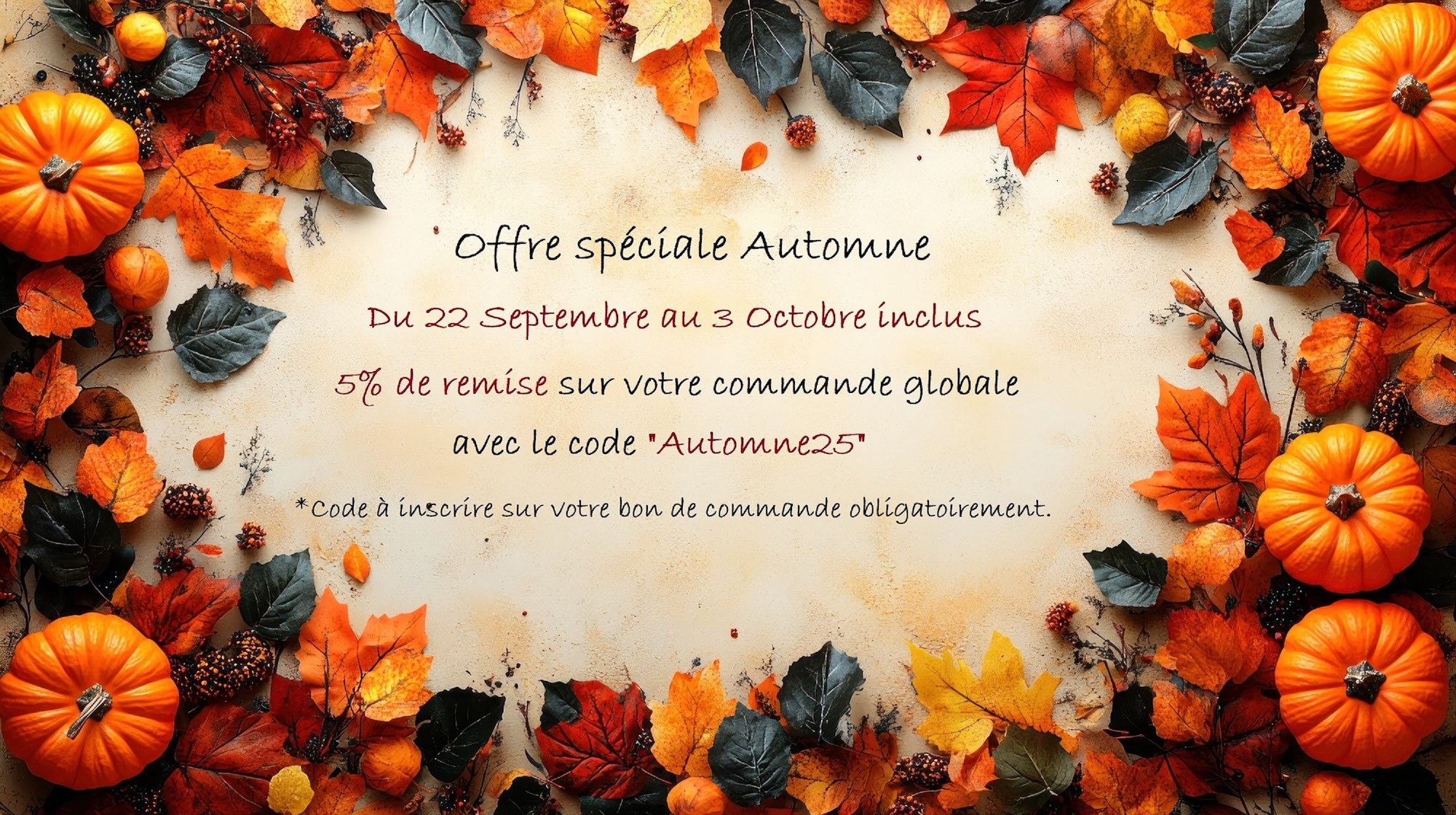 Offre spéciale Automne