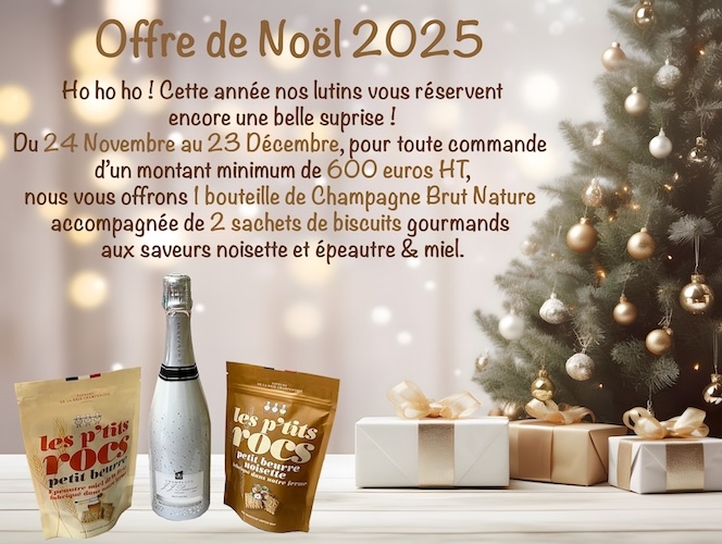 Offre de Noël 2025